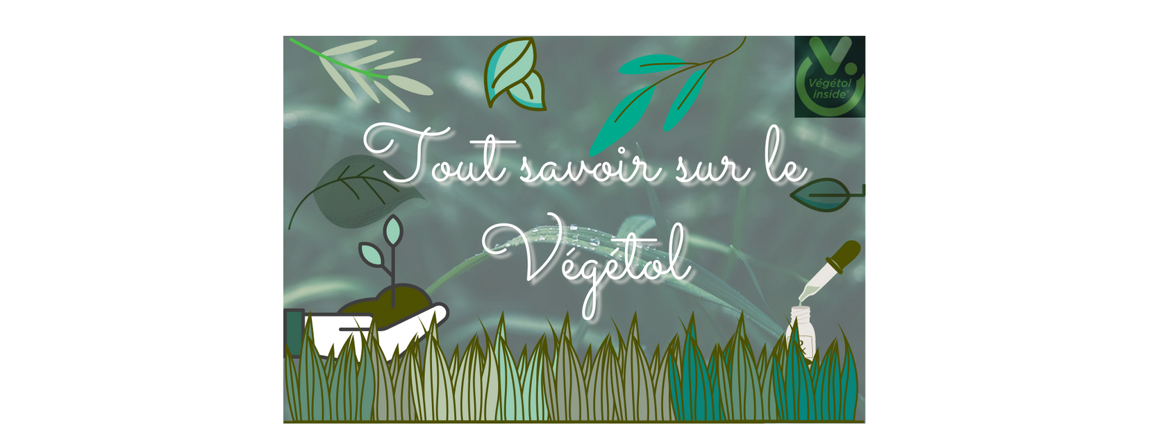 Le Vgtol : c'est quoi ? Sont-ils plus sains ? Avis et explications Wevape Le Vgtol : c'est quoi ? Sont-ils plus sains ? Avis et explications Wevape