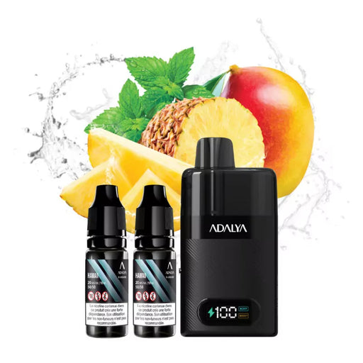 Puff rechargeable Hawaii 30000 puffs - LEVO ADALYA