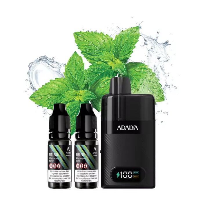 Puff rechargeable Mint Point 30000 puffs - LEVO ADALYA